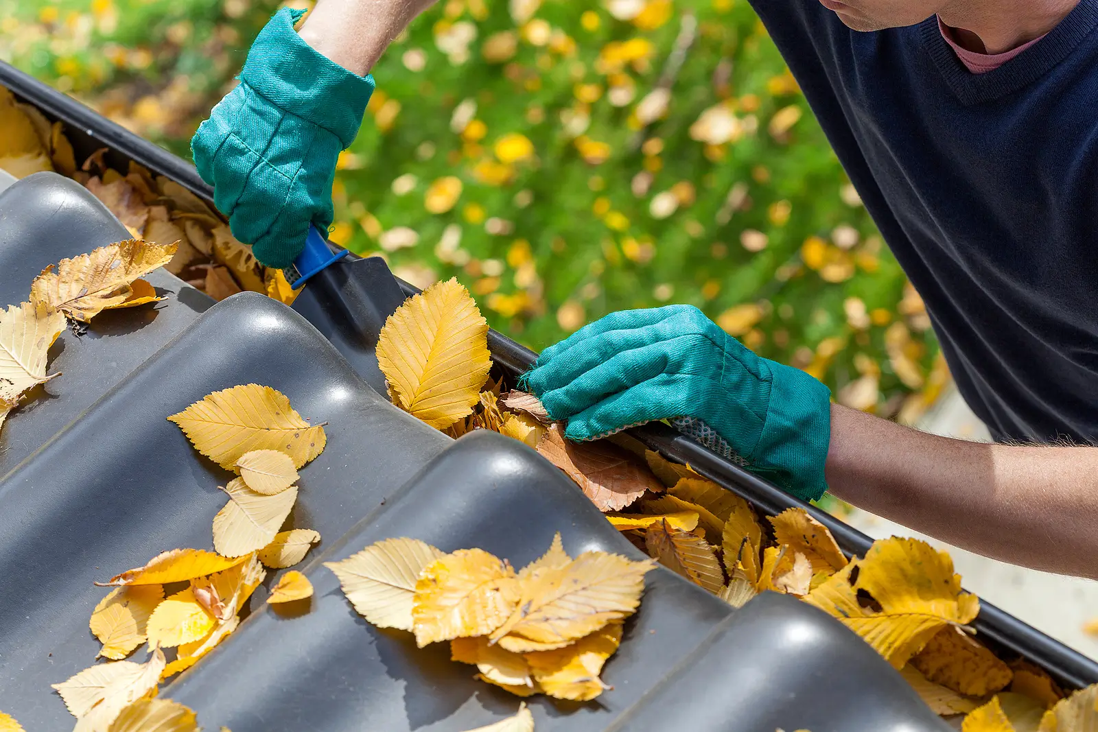Seasonal Maintenance Tips for Hillsborough, NC Rental Properties